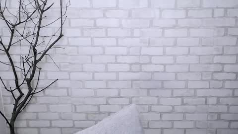 Ana online show from 6, 3, 2025