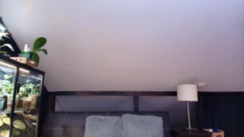vevelicious online show from 2, 5, 2026