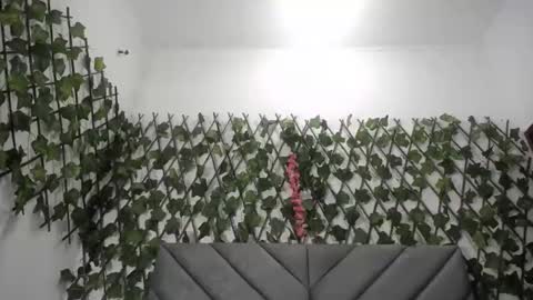 Frida online show from 26, 11, 2025