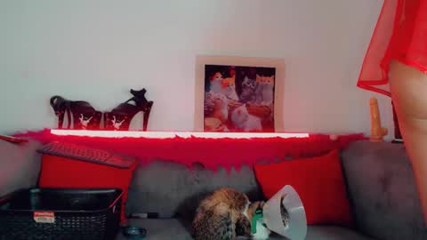 vicky_gill_ online show from 14, 10, 2025