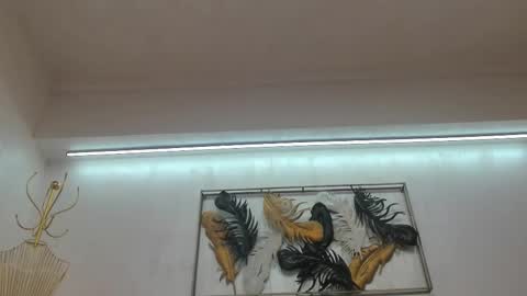 Snapshot of vikafever chatting on 27, 10, 2025 vikafever online show from 27, 10, 2025