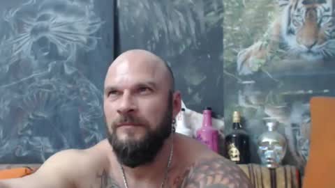 viking online show from 29, 10, 2025