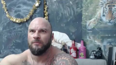 viking online show from 23, 3, 2026