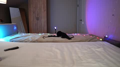 VIKKI online show from 21, 12, 2025