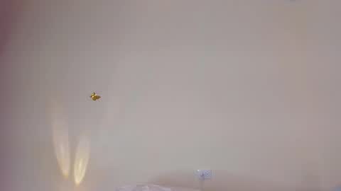 violett_24_ online show from 29, 11, 2025