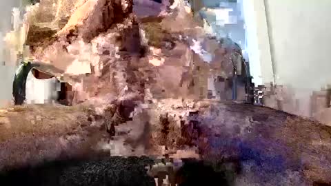 Snapshot of virtualsin114 chatting on 29, 5, 2026 horny guy online show from 29, 5, 2026