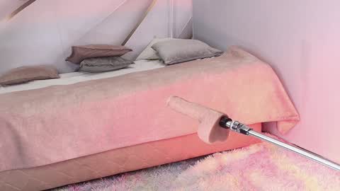 Vivi online show from 17, 1, 2025