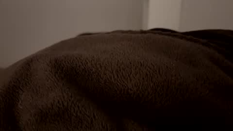 John online show from 2, 12, 2024