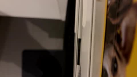 John online show from 6, 12, 2024