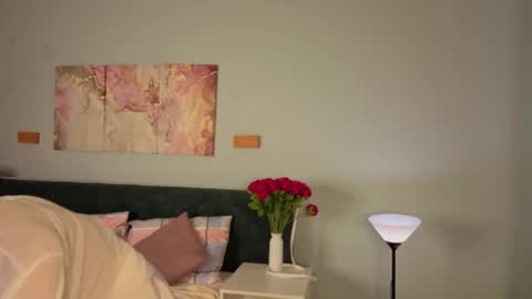 Snapshot of vonen_ray chatting on 27, 5, 2026 Vonen online show from 27, 5, 2026