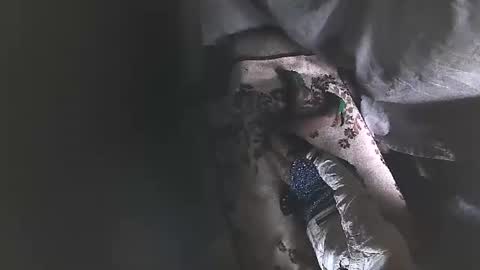 vpetkah online show from 3, 12, 2025