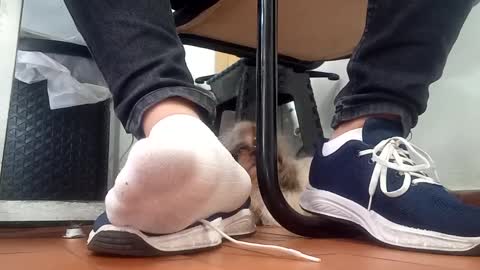 WaltherFeet  online show from 8, 9, 2025