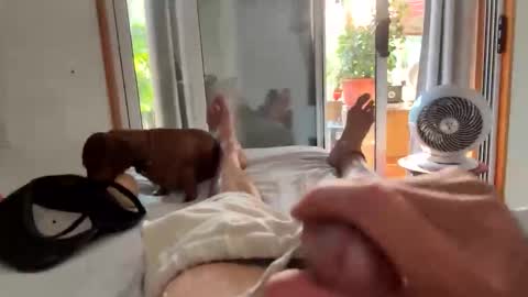 watershed111111 online show from 6, 2, 2026