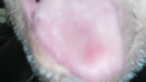 Snapshot of wayne1311 chatting on 23, 1, 2025 wayne1311 online show from 23, 1, 2025