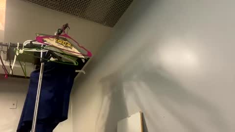 well_ndowed online show from 2, 1, 2025