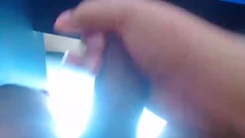 wellingtont online show from 31, 10, 2025