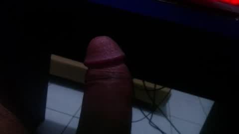 wellingtont online show from 22, 12, 2025