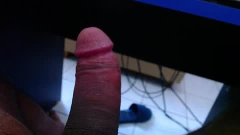 wellingtont online show from 4, 4, 2026