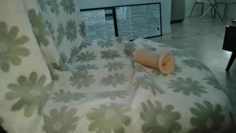 Frank and Barbie online show from 11, 4, 2026