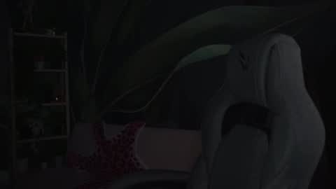 little girl who is always rightLisa online show from 4, 11, 2025