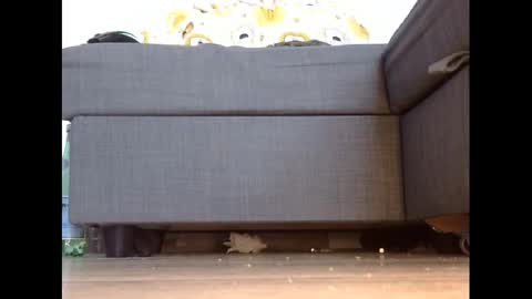 wet_pants2022 online show from 3, 3, 2025