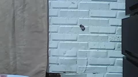 Snapshot of wettyhottie69 chatting on 3, 2, 2026 wettyhottie69 online show from 3, 2, 2026