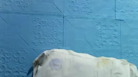 Snapshot of wettyhottie69 chatting on 1, 7, 2026 wettyhottie69 online show from 1, 7, 2026