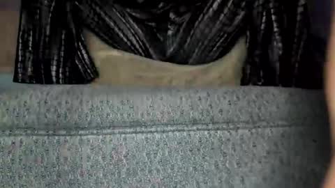 weweeworld online show from 19, 2, 2026