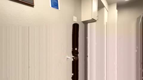 whackyak online show from 29, 4, 2026