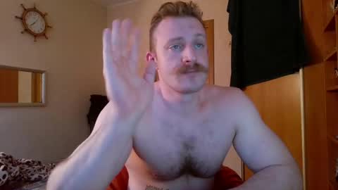 WhiteBull online show from 26, 4, 2026