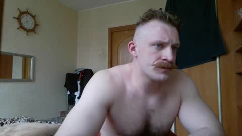 WhiteBull online show from 3, 5, 2026