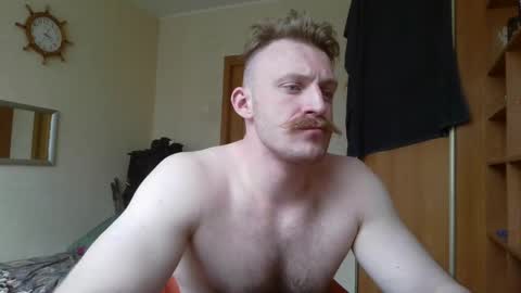WhiteBull online show from 7, 5, 2026