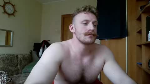 WhiteBull online show from 11, 5, 2026
