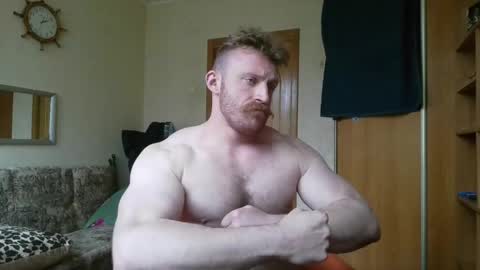 WhiteBull online show from 16, 5, 2026