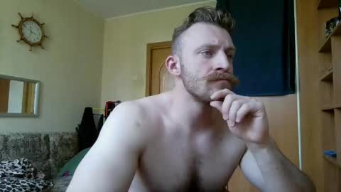 WhiteBull online show from 17, 5, 2026