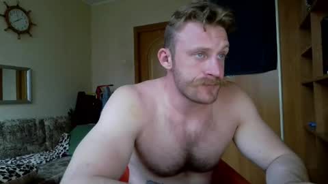 WhiteBull online show from 27, 5, 2026