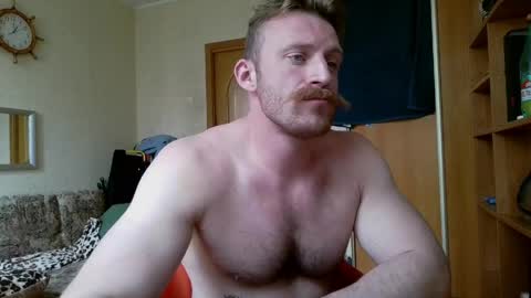 WhiteBull online show from 28, 5, 2026