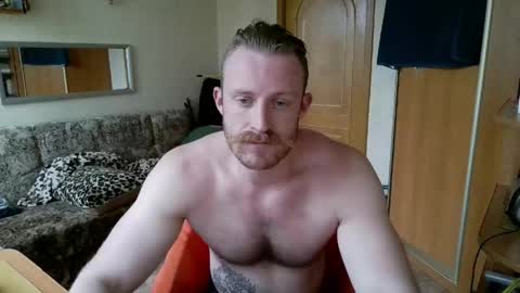 WhiteBull online show from 31, 5, 2026