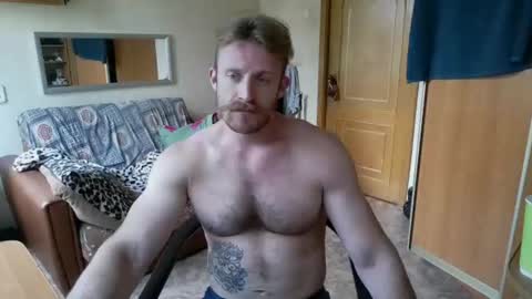 WhiteBull online show from 14, 7, 2026
