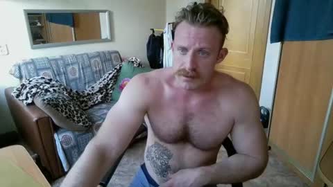 WhiteBull online show from 2, 8, 2026