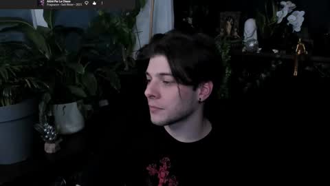 Gus online show from 28, 2, 2026