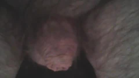 whitemann65 online show from 2, 1, 2025