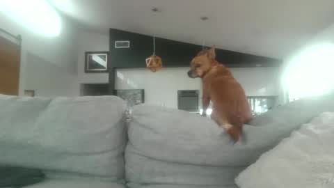 Snapshot of whitepantieman chatting on 28, 1, 2025 whitepantieman online show from 28, 1, 2025