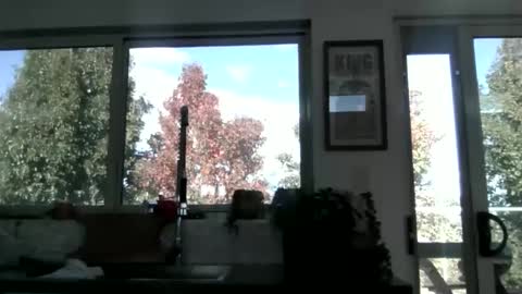 whitepantyman1973 online show from 29, 4, 2026
