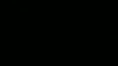 whoopthereitis8 online show from 29, 11, 2025