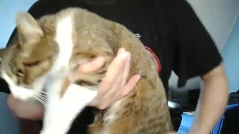 Tommy online show from 30, 12, 2024