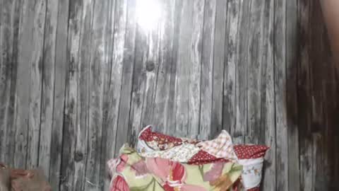 wild_ass_zessa online show from 27, 11, 2025