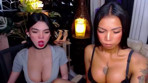 wildara online show from 25, 11, 2025