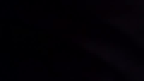 wildara online show from 2, 12, 2025