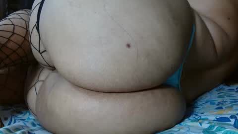 Wild online show from 5, 10, 2025